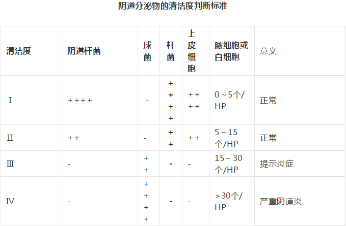 全自动阴道分泌物JK漫画在线观看剖析阴道分泌物的洁净度规范