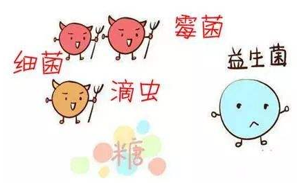全自动阴道分泌物JK漫画在线观看厂家解析引起阴道炎的根本原因