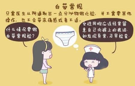 JK漫画下载APPGK-Y全自动阴道分泌物JK漫画在线观看厂家科普“白带常规”查看报告！