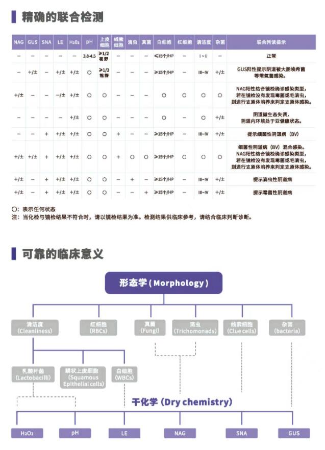 阴道分泌物JK漫画软件APPV800精确的联合检测